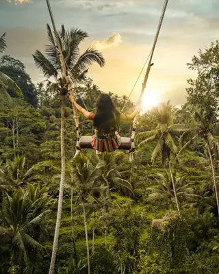 Bali Vana - Tour in Bali - Ubud Swing (Bali Swing)