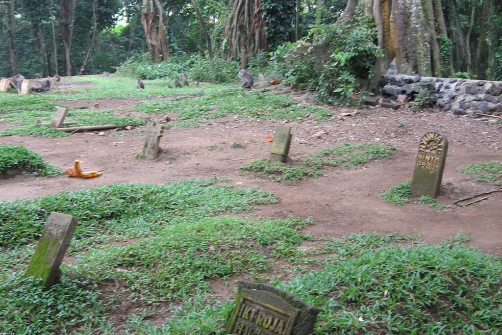 Sacred Monkey Forest Night Tour